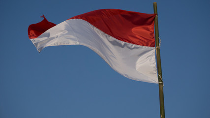 Indonesian flag, texture and bacckground
