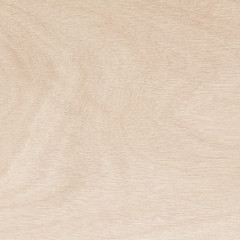 Plywood surface in natural pattern with high resolution. Wood grain texture background.