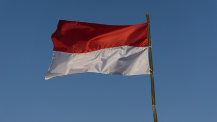 Fototapeta na wymiar Indonesian flag, texture and background