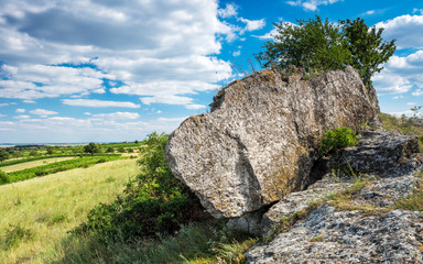 giant boulder with cherrytree in Burgenland Austria