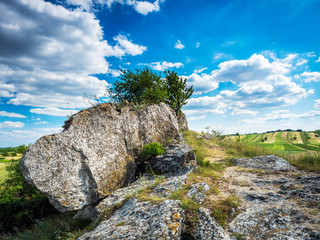 giant boulder with cherrytree in Burgenland Austria