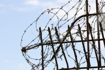 Wire mesh_06