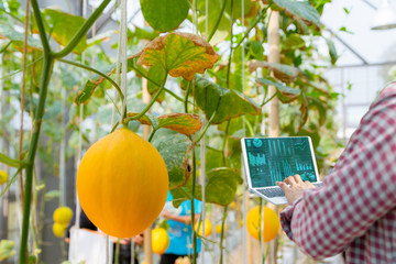 Advanced farmers quality inspection agricultural product with computer technology