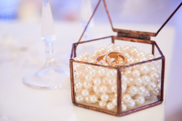 wedding rings as a symbol of love and happyness