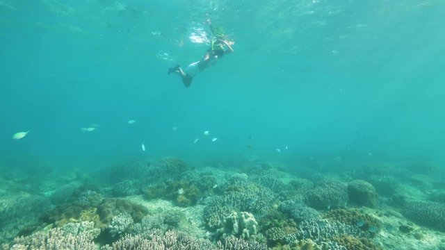 Snorkling woman taking photo to underwater world in transparent sea water. Young woman swimming in snorkeling mask and tube and shooting video to mobile in protective cover.