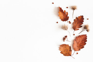 Naklejka na ściany i meble Autumn composition. Dried leaves, flowers, rowan berries on white background. Autumn, fall, thanksgiving day concept. Flat lay, top view, copy space