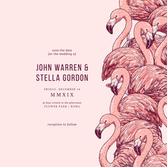 Pink flamingo wedding invitation. Card design template. Vector illustration © Maria
