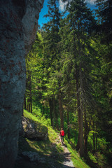Fototapeta premium Adventure summer photo, woman walking in beautiful green forest