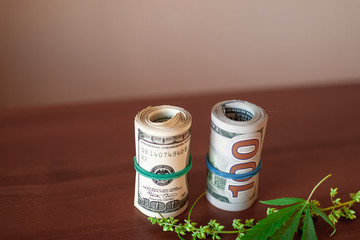 Cannabis CBD with seeds and dollars in money tied with a rubber band. Concept of the production of marijuana products and businesses. CBD hemp oil from natural cannabis