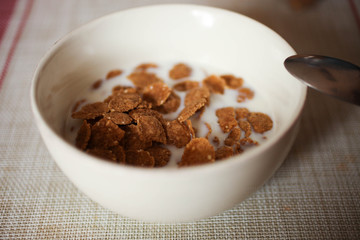 Chocolate cornflakes with milk