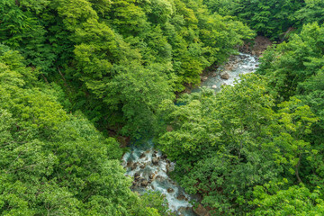Fototapeta na wymiar Towada Hachimantai National Park, Iwate