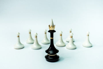 pawns and king rules people