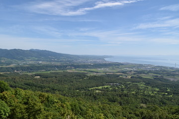 Naklejka premium Landscape with ocean and forest in Hokkaido, Japan