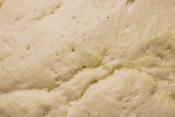 yeast dough as background. texture of fermented dough. ferment for baking.