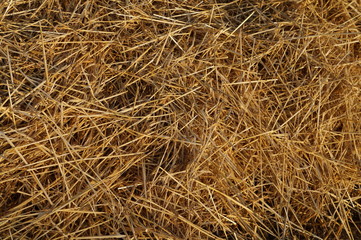 ernte_ars3