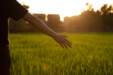 Asian Man Stretches in the Rice Fields at the Sunset