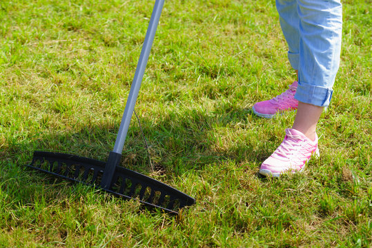 Woman using rake to clean up garden lawn