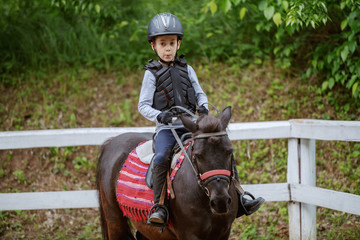 Playful little jockey boy riding adorable pony at sunny day on ranch.
