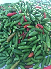 hot chili peppers at the market