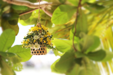 Hanging flower vase decorated at the beach