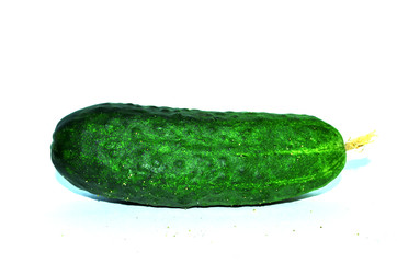 cucumber isolated on white background