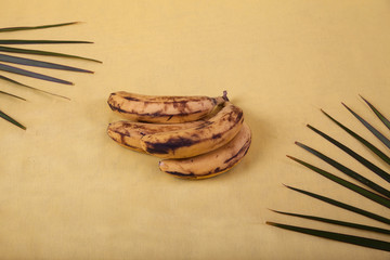 Ugly bananas lie on a yellow background with palm leaves