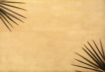 palm leaves lie on a yellow background. copy spaes