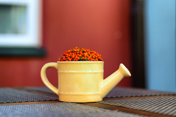 Ceramic watering can with red berries