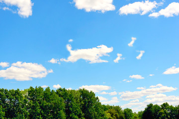 Beautiful panoramic landscape blue sky and clouds in the shape of a running dog behind a bone. Homeless animals day concept.