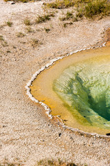 Geyser and hot spring in old faithful basin in Yellowstone National Park in Wyoming