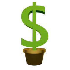 Green money tree in a pot. 3d rendering