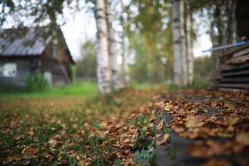 End of summer season in the park