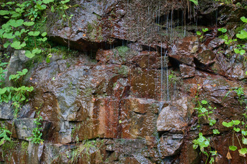 water flowing over the rock plants grow on the rock