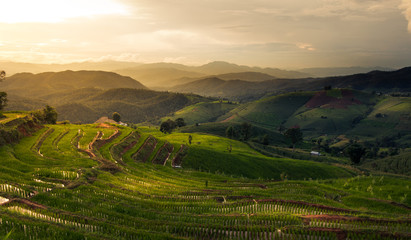 Ban Pa Pong Piang, the most beautiful rice terraces