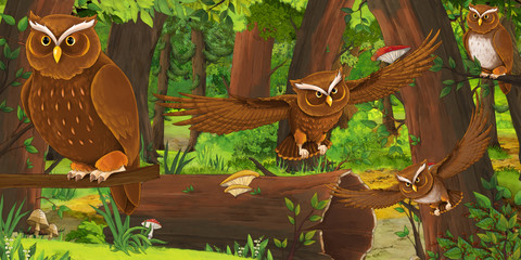 cartoon summer scene with deep forest and birds owls and some other bird - nobody on scene - illustration for children