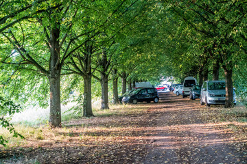 Allee durch Park Landschaft mit Licht und Schatten