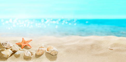 View of the sandy beach. Shells in the sand.