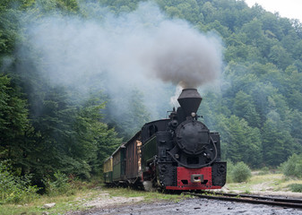 Fototapeta na wymiar Wood-burning locomotive against green forest background