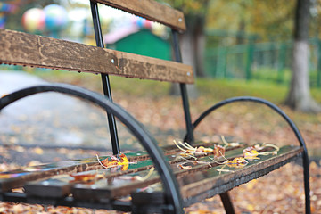 Autumn rain in the park