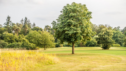 Gelände eines leeren Golfplatzes