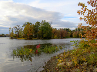 Fall scenery with colored trees by the lake and clouded sky