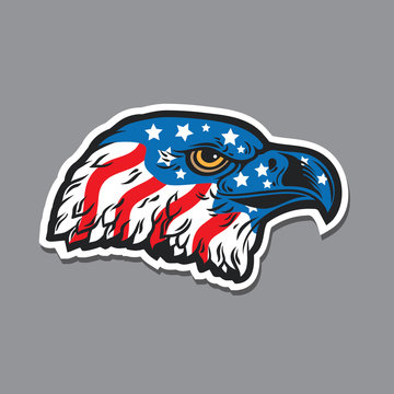 illustration of head hawk eagle with usa flag concept