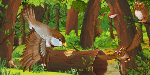 cartoon summer scene with deep forest and birds owls and some other bird - nobody on scene - illustration for children