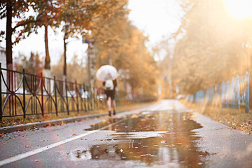 Autumn rain in the park