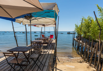 BASSIN D'ARCACHON (France), terrasse d'ostr&eacute;iculteur &agrave; Claouey pr&egrave;s du Cap Ferret