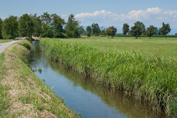 canale d'acqua per l'irrigazione agricola