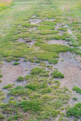 Beschädigte und abgenutzte Rasenfläche auf Golfplatz