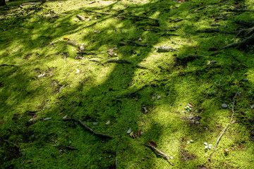 国会前庭和式庭園