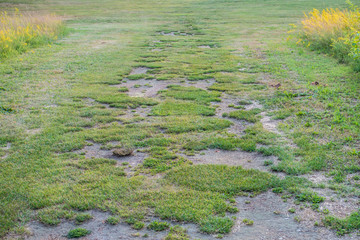 Beschädigte und abgenutzte Rasenfläche auf Golfplatz