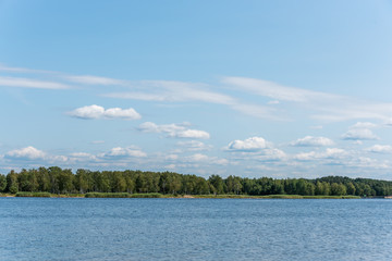 River and Forest in Latvia on a Sunny Summer Day